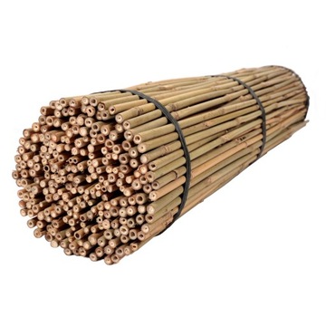 TYCZKI BAMBUSOWE 120 cm - 8/10 mm - 50 szt PODPORY DO ROŚLIN / BAMBUS
