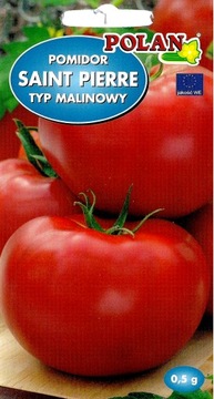 Pomidor SAINT-PIERRE malinowy wysoki 0,5g nasiona