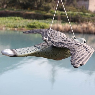 ОТПУПЫВАТЕЛЬ СОКОЛ-ЯСКОЛОВ ПТИЦ Скворцы ГОЛУБИ