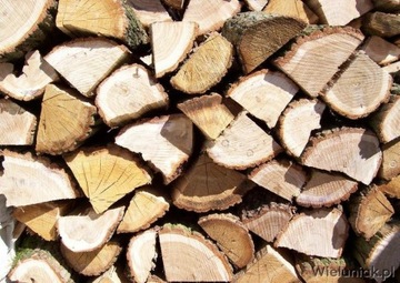 Дровяной котел 16 кВт, бункер, 5 класс PellPal D