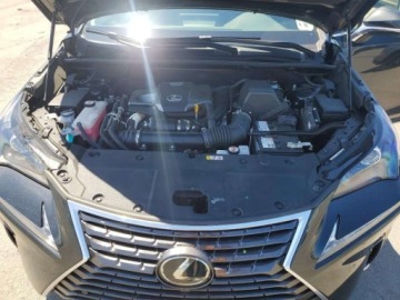 Lexus NX II 2021 Lexus NX 300 Base 2021 2.0 Benzyna 235KM, zdjęcie 6