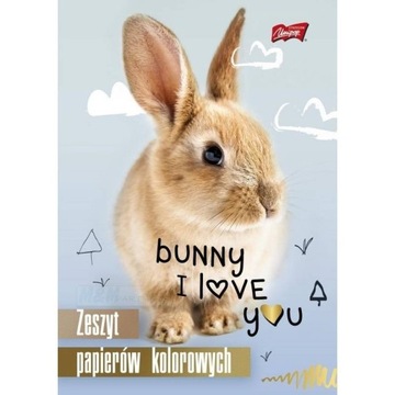 Zeszyt papierów kolorowych, A5, 10 kartek, UNIPAP