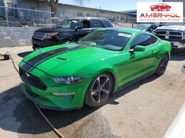 Ford Mustang 2019, 2.3L, po gradobiciu