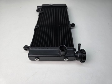 Nowa Chłodnica HONDA HORNET 600 CB600 CB 600 F 98-06r 19010-MBZ-K01