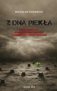 Z DNA PIEKŁA. MOJE PRZEŻYCIA W NIEMIECKIC.. EBOOK