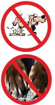 Накладки на лестницу ПРЕМИУМ бесцветные 70х31см