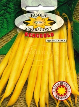 Fasola berggold ZŁOTA SAXA wczesna nasiona