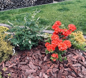 Сосновая кора 80-130 мм 8-13 см Премиум сортированная мегабайт 50 л.