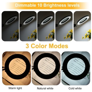 КОСМЕТИЧЕСКАЯ ОФИСНАЯ ЛАМПА С УВЕЛИЧЕНИЕМ 5Х ДЛЯ ЮВЕЛИРА TECHREBAL