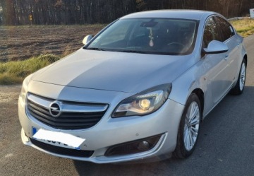 Opel Insignia I Hatchback Facelifting 2.0 CDTI ECOFLEX 140KM 2015 Opel Insignia 2.O Cdti, zdjęcie 13