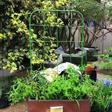 Опора для вьющихся растений, лестница декоративная 26х75см.