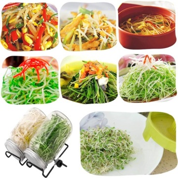 СТЕКЛЯННАЯ ЧАШКА С ПОДСТАВКОЙ ДЛЯ ДОМАШНЕГО ВЫРАЩИВАНИЯ РАССТАВ ЛЕГУТКО 1л 2шт