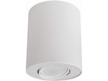 Lampa sufitowa spot tuba biała regulowana