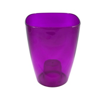 Strep Laint для Storczy