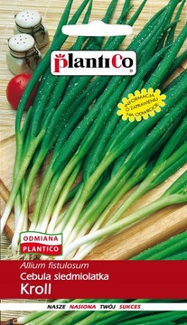 Cebula siedmiolatka Kroll 2g