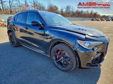 Alfa Romeo Stelvio 2019 Alfa Romeo Stelvio Alfa Romeo Stelvio Quadrifoglio AWD 2019 od ubezpieczal