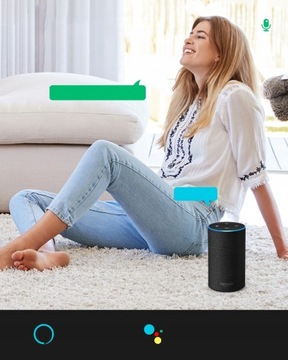 MINI 1-канальный 1-канальный релейный контроллер WiFi TUYA
