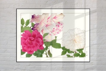 DRIAKIEW MONTBRECIA CROOKSMIA японское искусство украшения винтаж 21x30 (A4)