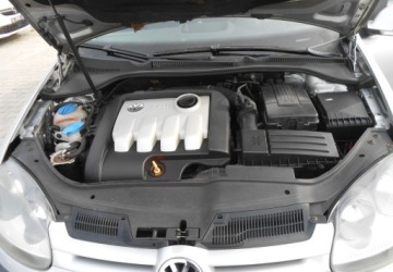 Volkswagen Golf V Hatchback 1.9 TDI 105KM 2004 Volkswagen Golf Volkswagen Golf V 1.9 Diesel 105 KM 1.9 Diesel 105KM, zdjęcie 12