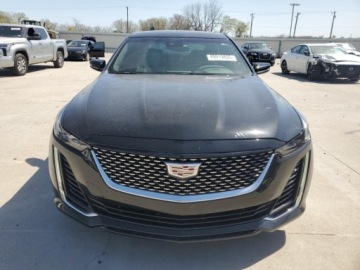 Cadillac 2023 Cadillac CT5 Luxury 2023 2.0l 2.0 Benzyna 237KM, zdjęcie 5