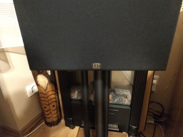 Монитор Audio ASW 100 СОСТОЯНИЕ как НОВОЕ