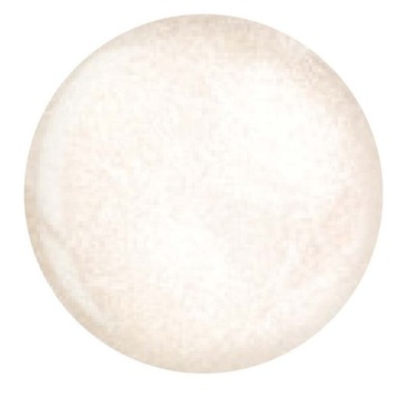 CUCCIO puder tytanowy 5548 - 14g