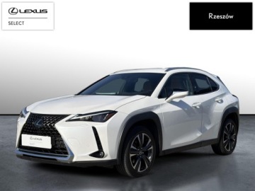 Lexus UX Crossover Facelifting 2.0 250h 184KM 2023 Lexus UX 250h GPF Business 2WD UX250h Business + T