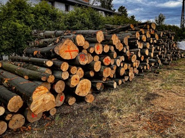 Beech Trunk 50 см x 21см Piemacek Peniek для разбивки деревянных насосов Big