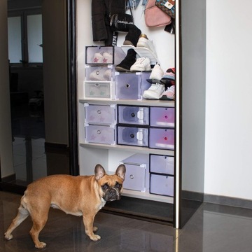 КОРОБКА ДЛЯ ОБУВИ КОНТЕЙНЕР ДЛЯ ОБУВИ С ЯЩИКОМ-ОРГАНАЙЗЕР ДЛЯ ГАРДЕРОБА STRONG 1 шт.