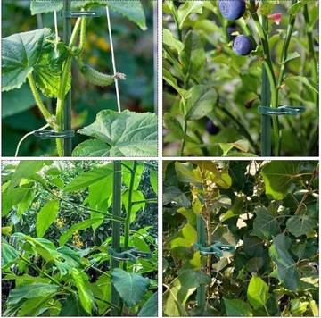 Опора для растений томатов 150 см, 10 шт. СТАЛЬНЫЕ опоры для томатов