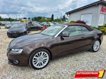 Audi A5 8T Cabriolet 2.0 TDI 170KM 2011 Audi A5 Cabrio Cabrio Brazowa Perla Alufelgi Alcantara Jasny Srodek E, zdjęcie 33