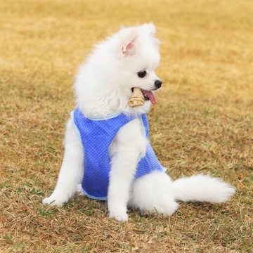 Puppy Outfits Cool Vest Dogs Cooling