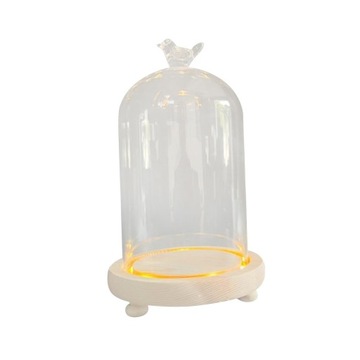Szklany Cloche Dome Party DIY Micro 10x16cm Ptak