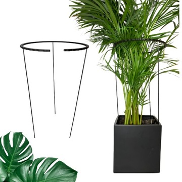 Podpórki do roślin kwiatów podpora podpórka obręcz obejma EYERING XL60cm/28