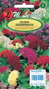 Nasiona mieszanka roślin Celozja grzebieniasta mieszanka 0,5 g