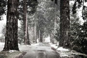 СОЛЬ ДОРОЖНАЯ С АНТИСКЛЕИВАНИЕМ 1000кг