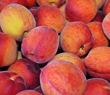 CLARESA ПЕРСИКОВОЕ МАСЛО ДЛЯ КУТИКУЛЫ