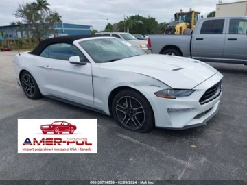 Ford Mustang VI 2021 Ford Mustang 2021r., 2.3L