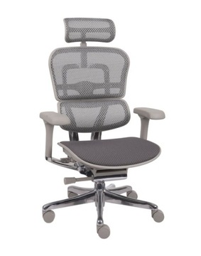 Ergonomiczny fotel biurowy obrotowy Ergohuman 2 Elite tkanina Szary