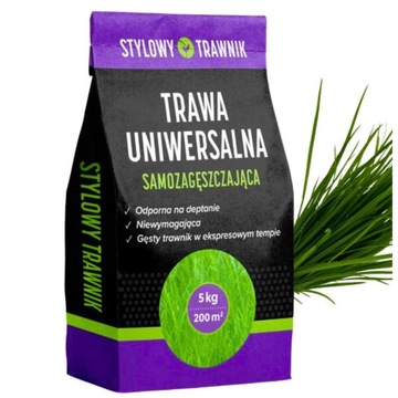 TRAWA UNIWERSALNA Odporna Na deptanie 5kg Nasiona Zagęszczająca