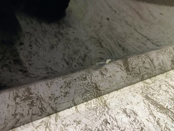 DVEŘE LEVÉ PŘEDNÍ LEVÝ MERCEDES MB E TŘÍDA 212 A212 W212 09-16