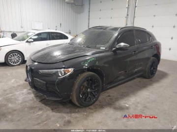 Alfa Romeo Stelvio SUV 2.0 Turbo 280KM 2018 Alfa Romeo Stelvio 2018 r.,2,0L TI SPORT AWD 2.0 Benzyna 280KM, zdjęcie 2