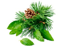 Cukierki Ziołowe VERBENA MIX 8 Smaków od GÓRALEK