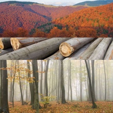 СЫРНАЯ ДОСКА ДЛЯ ПИЦЦЫ ВРАЩАЮЩАЯСЯ ДЕСЕРТНАЯ ТАРЕЛКА 40 СМ