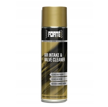 Forte Air Intake & Valve Cleaner 500 ml USUWA NAGAR