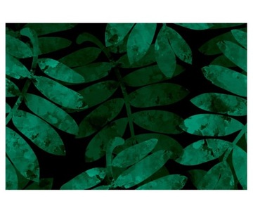 Fototapeta 368x254cm Liście jarzębiny na ciemnym t