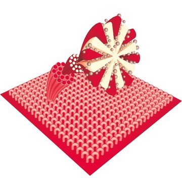 Zestaw Mop Płaski Push Lamart LT8036 2w1 32x11cm