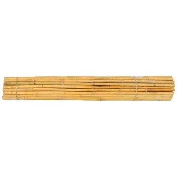 Tyczki bambusowe tajskie - 150cm - 30/35mm - 25sztuk