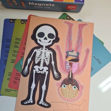 Магнитная головоломка Apli Kids для человеческого тела