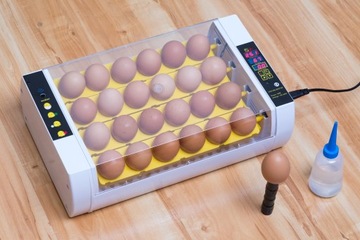 ИНКУБАТОР ШПОЧНИК ДЛЯ ПТИЦЫ 24 j